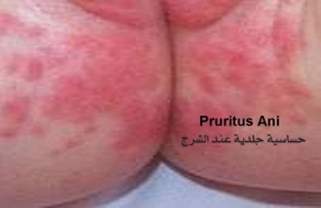 Dr.Kashid Hospital & Piles Clinic